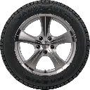 215_75R16LT_10 MCV3 MAXXIS Trung Quốc.webp